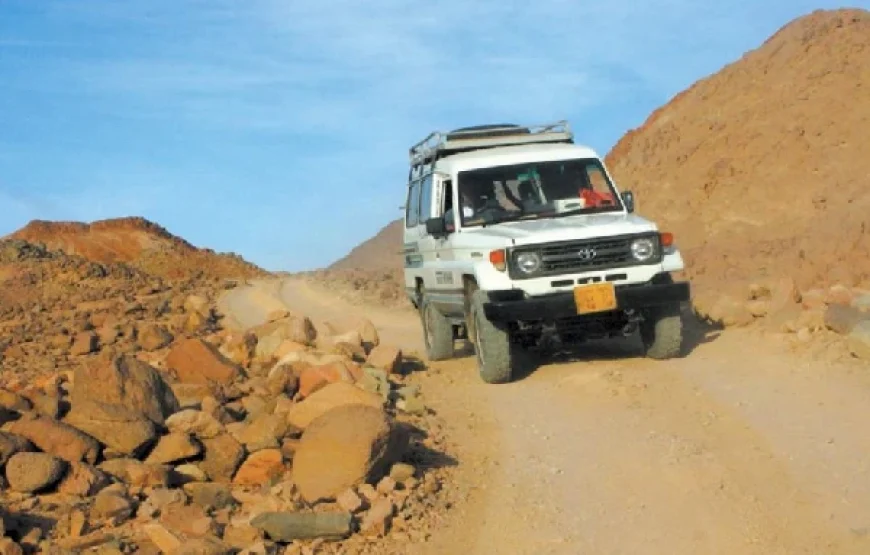 Desert Safari & Quad Bike Tours
