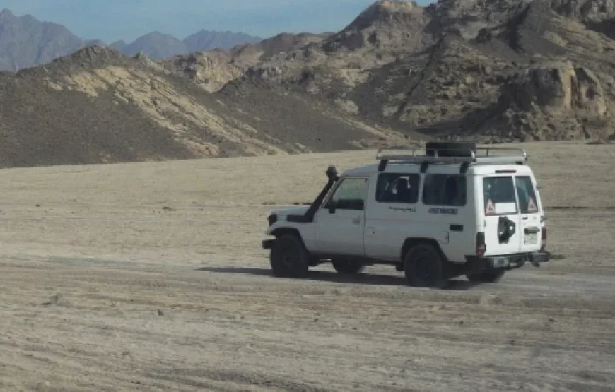 Desert Safari & Quad Bike Tours