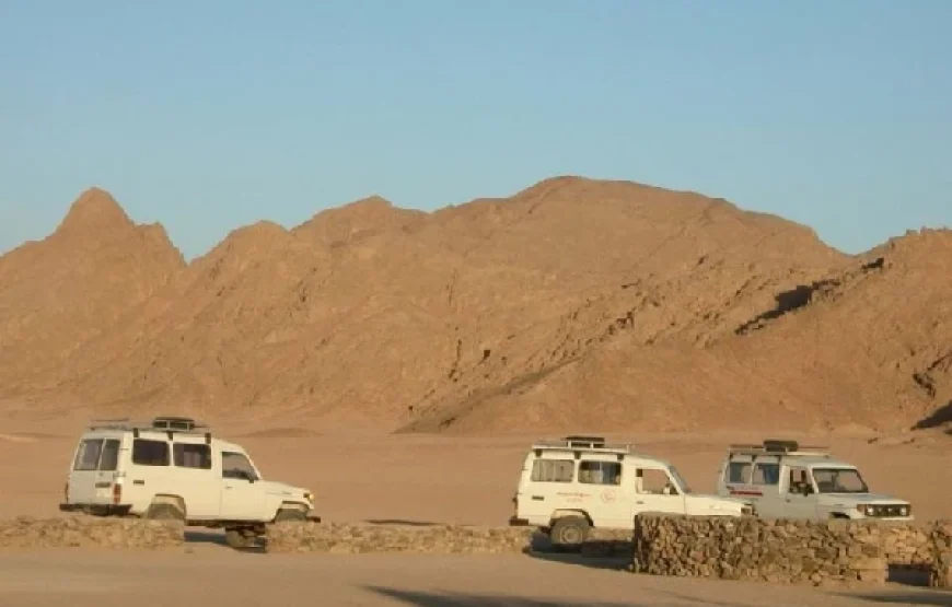 Desert Safari & Quad Bike Tours