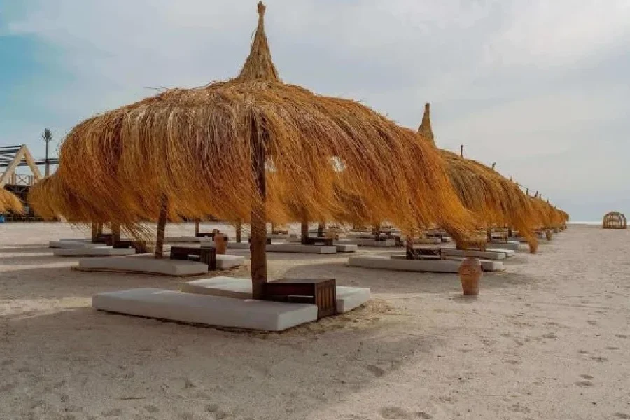 Super Safari – Ultimate Desert Adventure