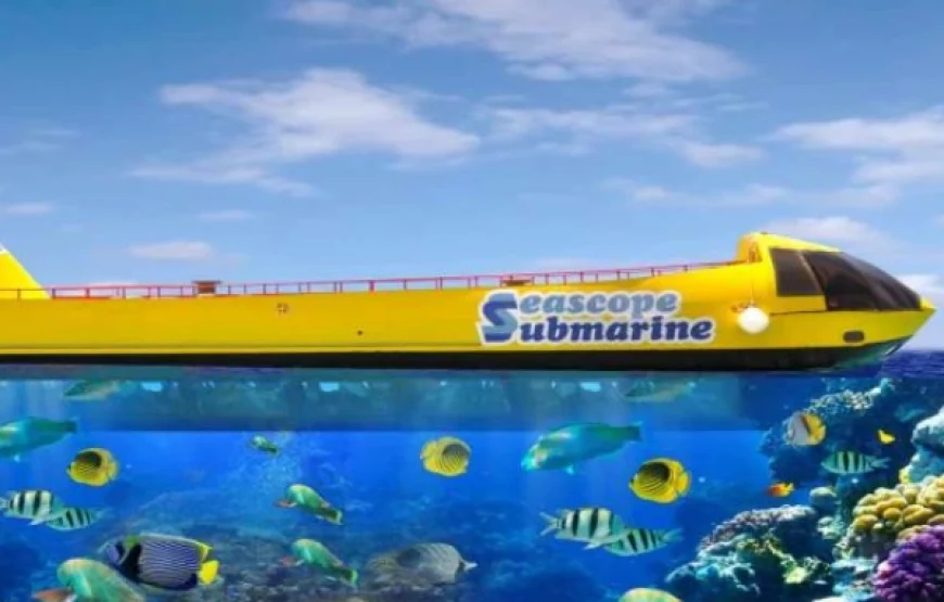 Royal Sea Scope Glass-Bottom Boat