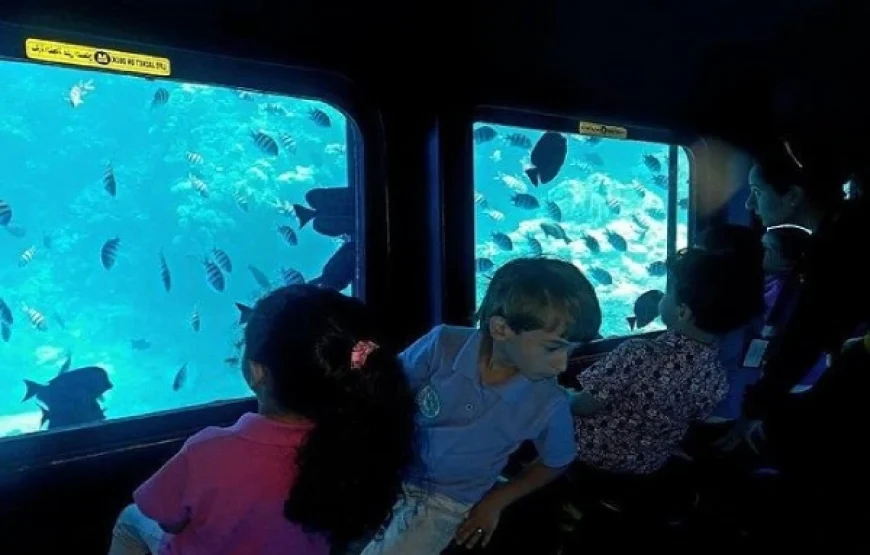 Royal Sea Scope Glass-Bottom Boat