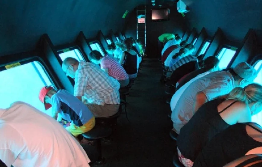 Royal Sea Scope Glass-Bottom Boat