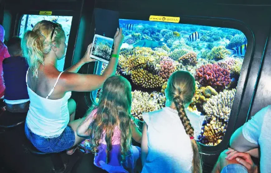 Royal Sea Scope Glass-Bottom Boat