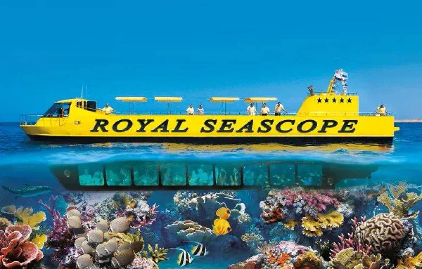Royal Sea Scope Glass-Bottom Boat