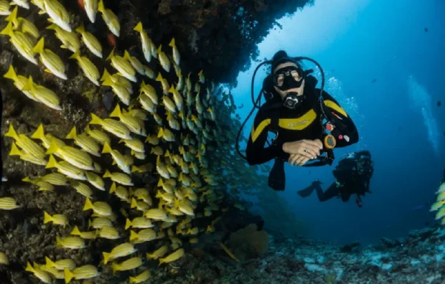 Red Sea Snorkeling Tours – Best Destinations