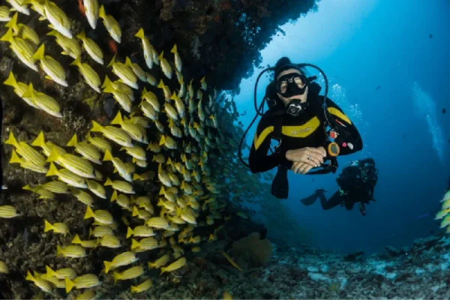 Red Sea Snorkeling Tours – Best Destinations