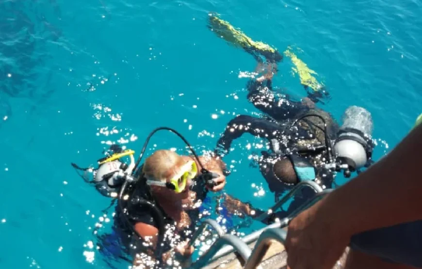 Red Sea Snorkeling Tours – Best Destinations