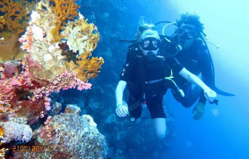 Red Sea Snorkeling Tours – Best Destinations