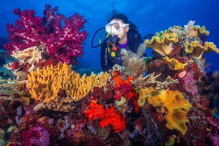 Marsa Alam: Hamata Islands Snorkeling Cruise with Lunch