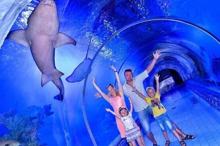 Hurghada Grand Aquarium – Ocean Depths Journey