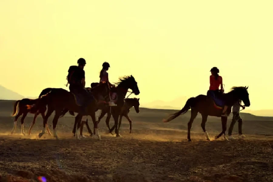 Marsa Alam: Sunset Horseback with Dinner, Show & Stargazing