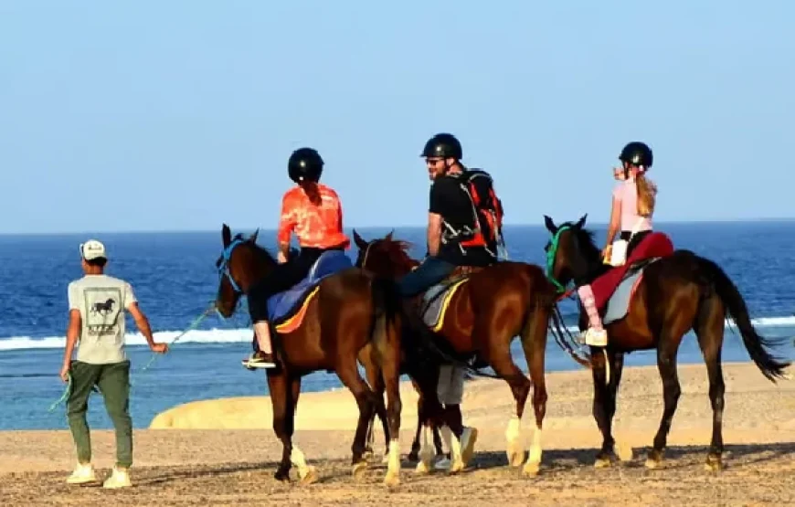Marsa Alam: Sunrise Horseback with Breakfast