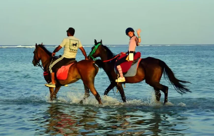 Marsa Alam: Sunrise Horseback with Breakfast