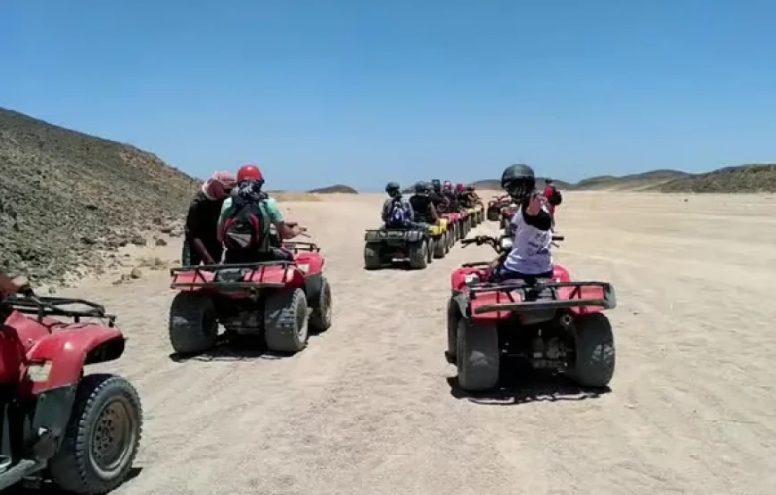 Marsa Alam: Desert Quad Bike, Camel Ride, and Bedouin Tour