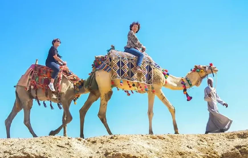 Marsa Alam: Sea and Desert Camel Riding Tour
