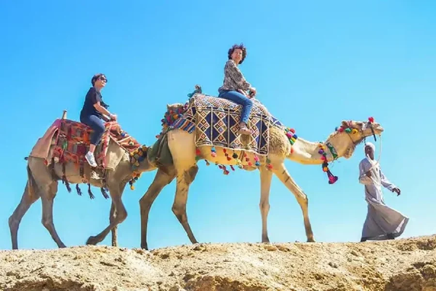 Marsa Alam: Sea and Desert Camel Riding Tour