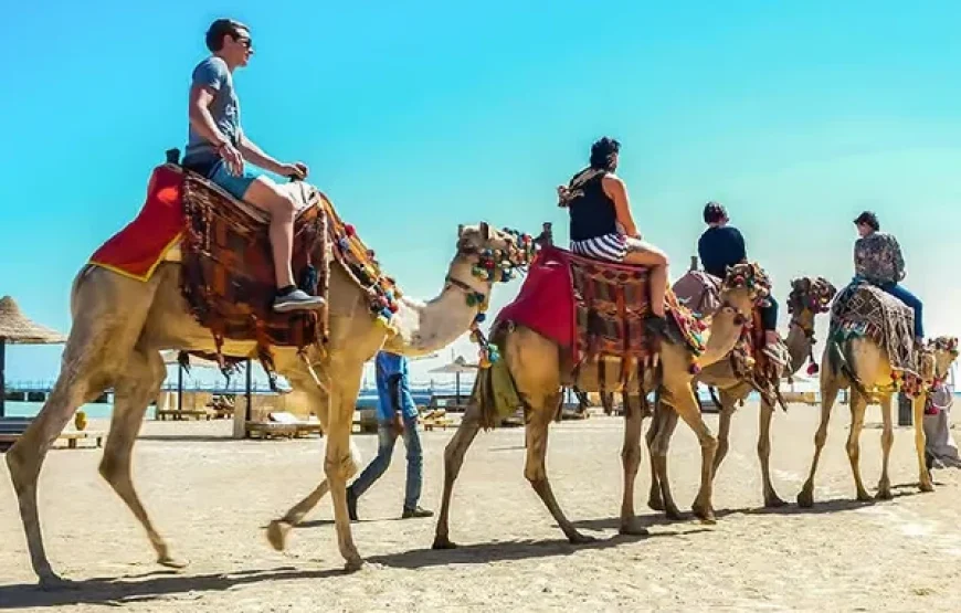 Marsa Alam: Sea and Desert Camel Riding Tour