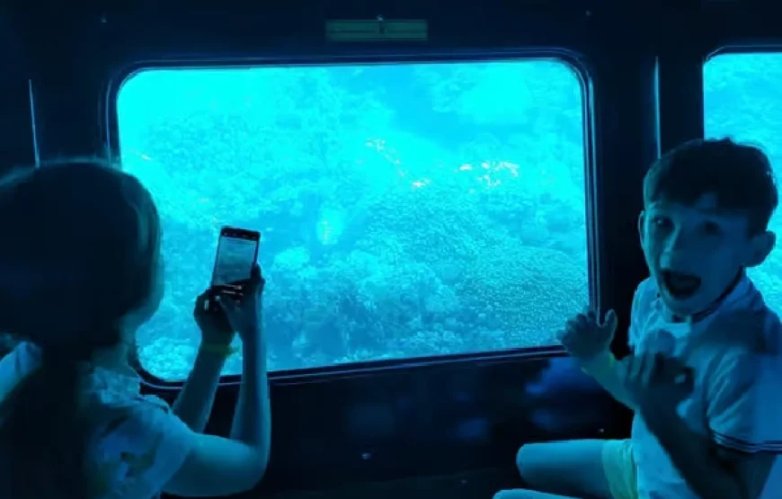 Marsa Alam: Nefertari Sunset Turtle Bay Cruise with Dinner