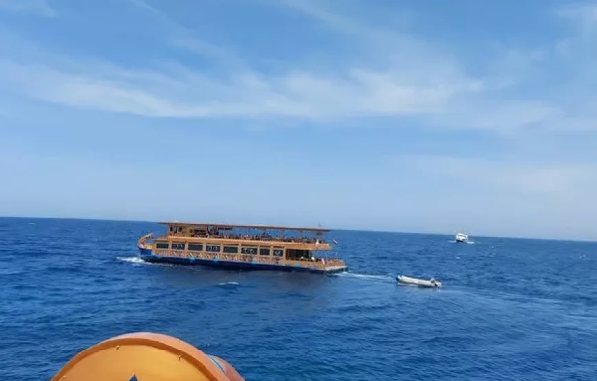 Marsa Alam: Nefertari Sunset Turtle Bay Cruise with Dinner