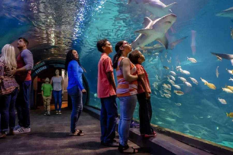 Grand Aquarium Program