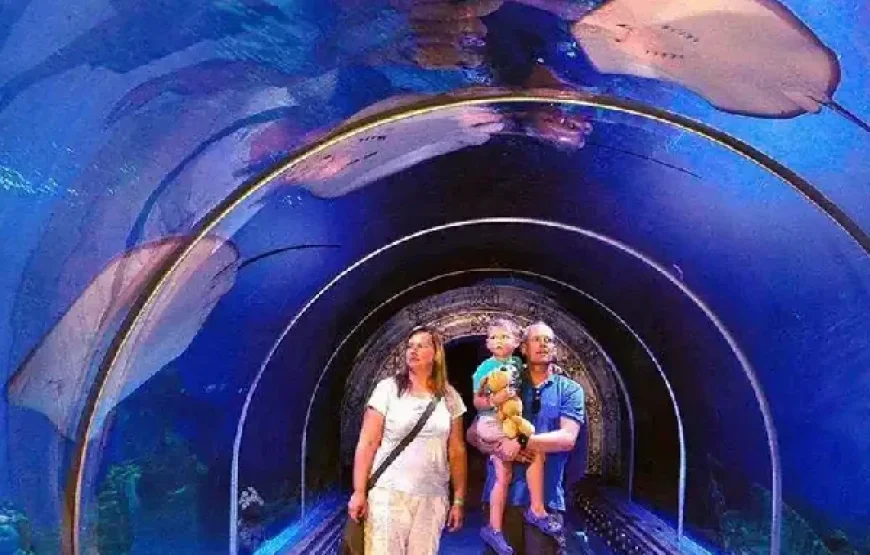 Grand Aquarium Program