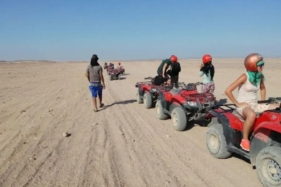 Quad 5 Hours Program